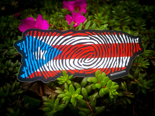 Mis Raíces 🇵🇷