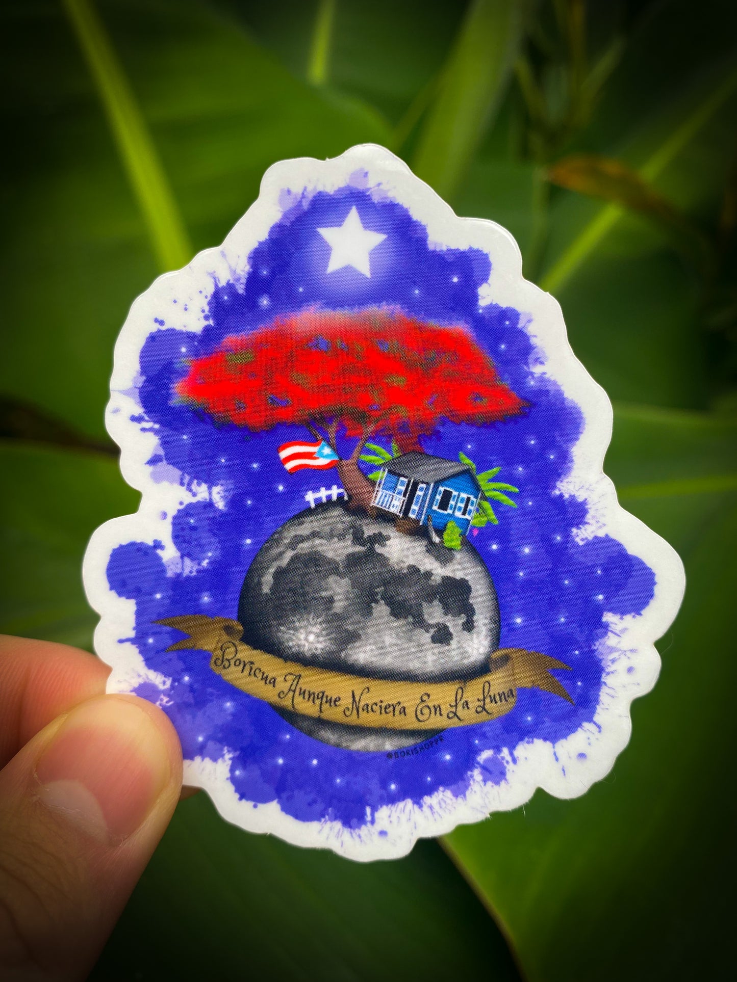 Boricua Aunque Naciera En La Luna