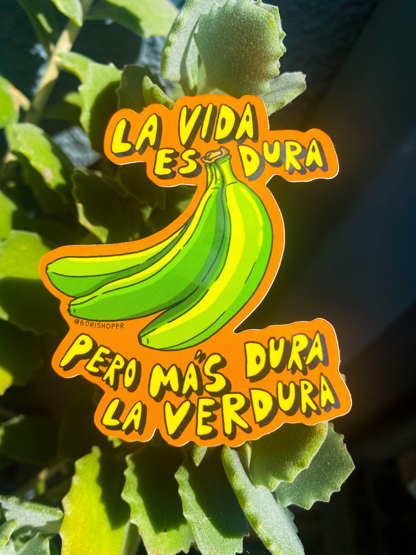 La Vida es Dura, Pero Más Dura la Verdura