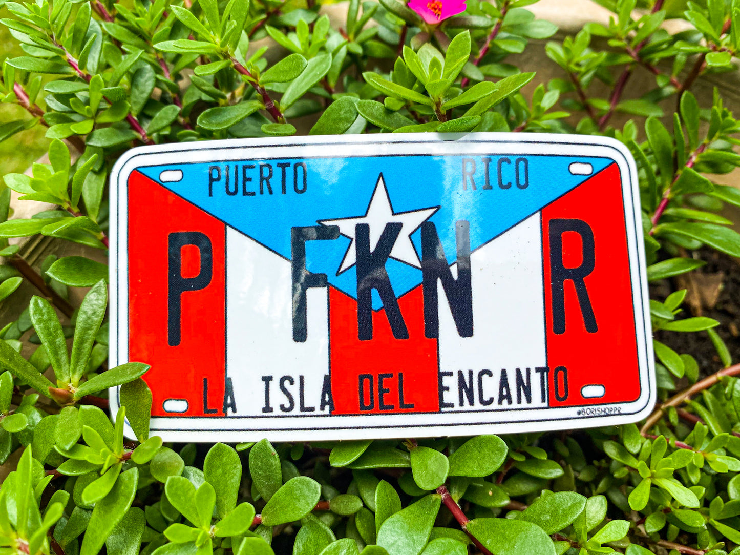P FKN R 🇵🇷