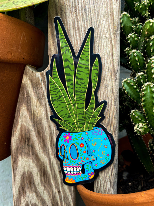 La Calaverita 💀